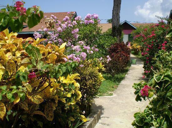 Summerset Residence Negril Exterior photo